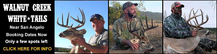 texashuntingnews.com, texas deer hunts
