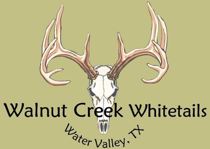 West Texas Deer Hunts, texashuntingnews.com